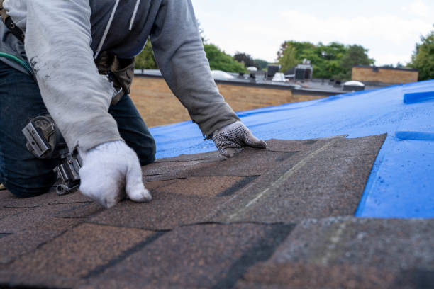 Best Best Roofing Contractors  in Pomeroy, OH
